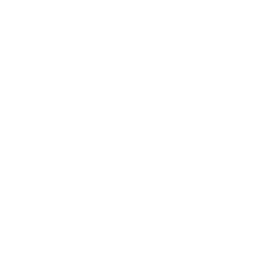 Stabilus internetas